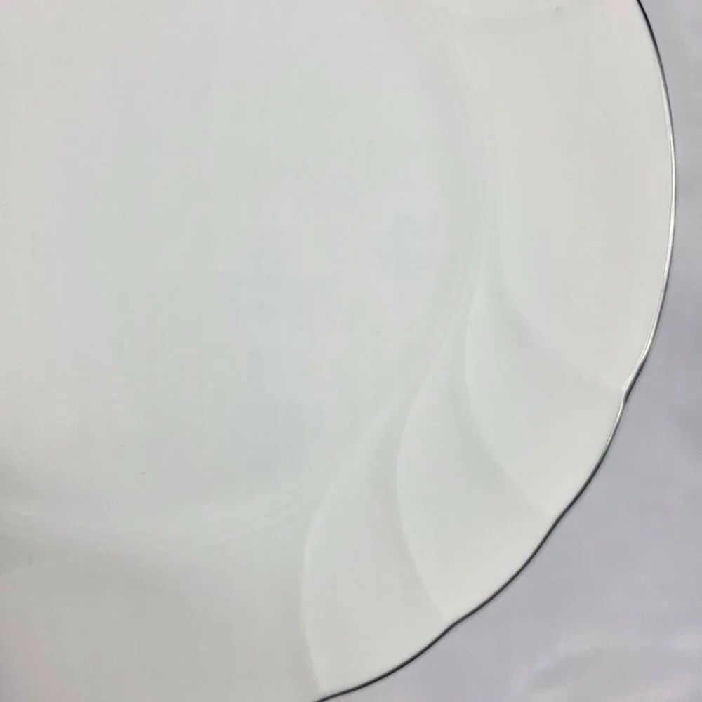 TWO Mikasa Wedding Band Platinum Salad Plates Swirled Platinum Trim
